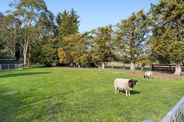 1680 Hoskyns Road Kirwee_3