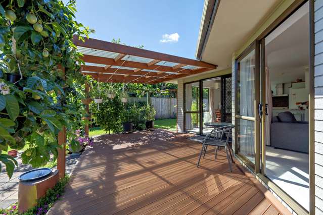 82c Grant Road Opotiki_2