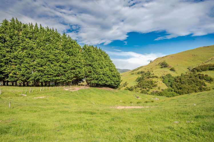 350 Pigeon Bay Road Pigeon Bay_9