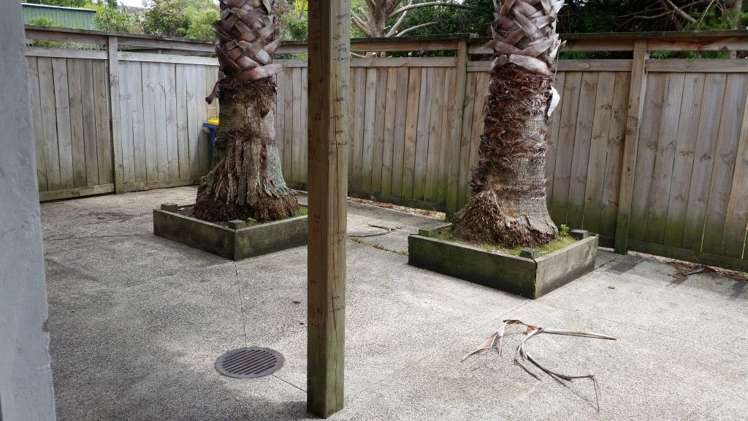 30 Cron Avenue Te Atatu South_14