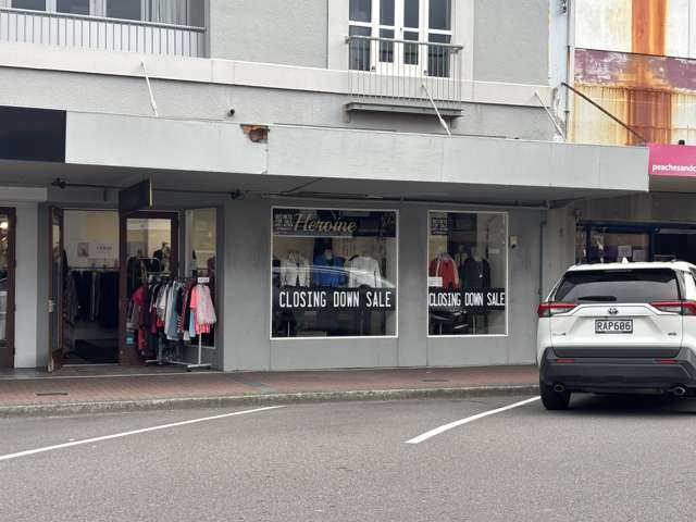 West Unit, 220 Jackson Street Petone_3