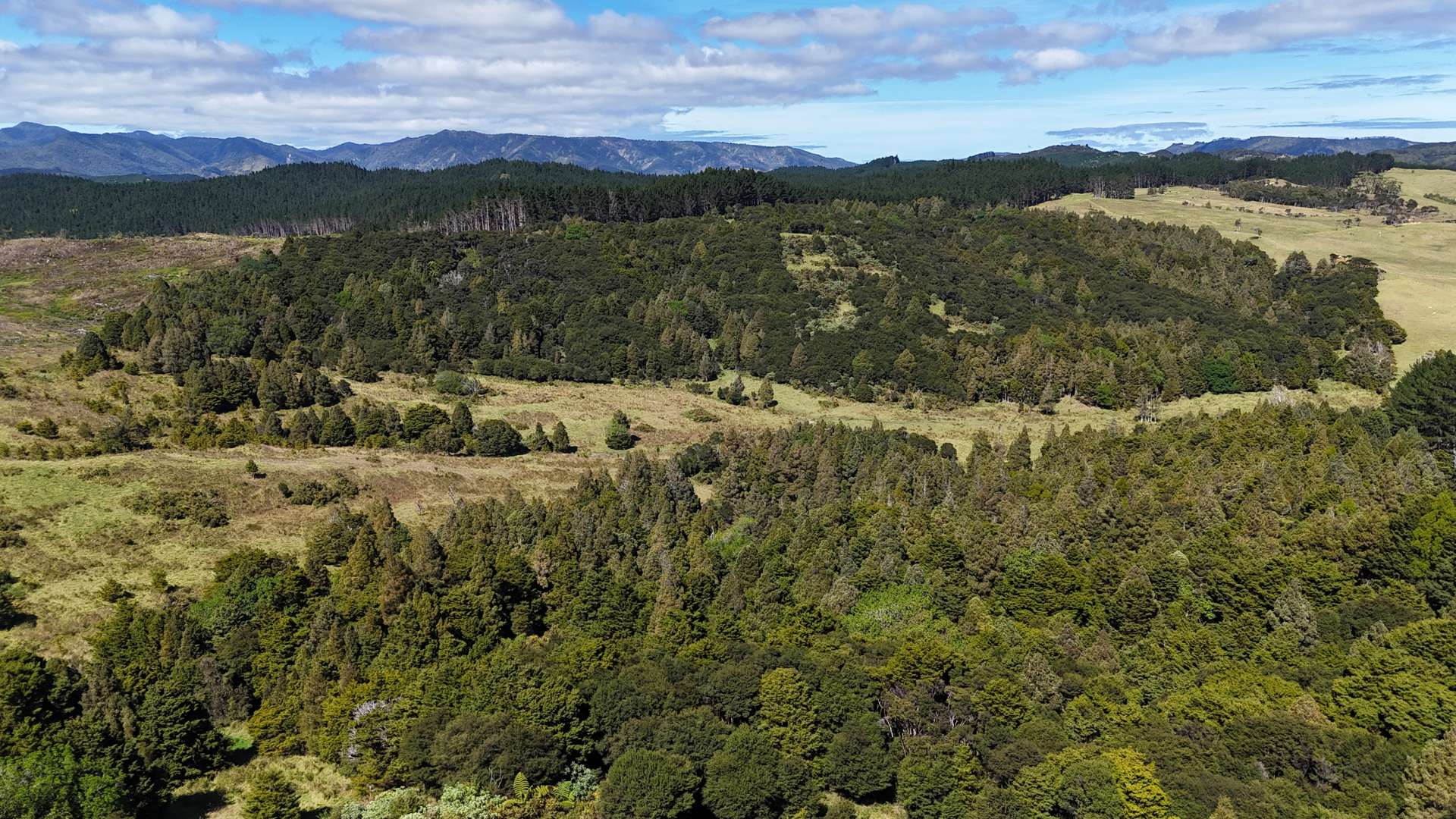 Herekino-Broadwood Road Herekino_0