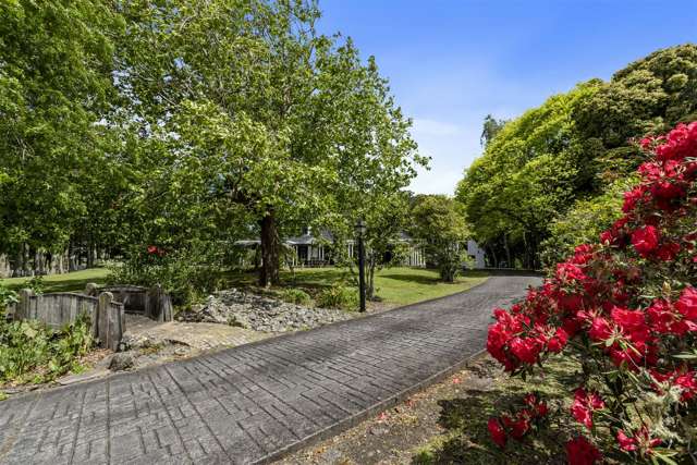 347 Horseshoe Bush Road Dairy Flat_1