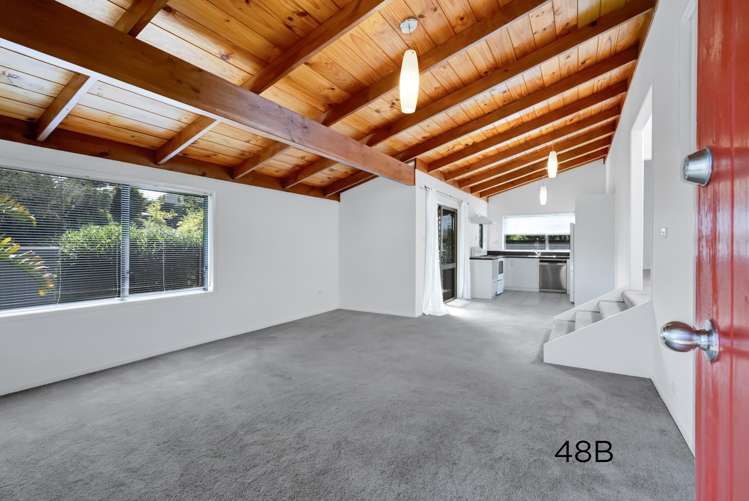 48A and 48B Maratahu Westown_18