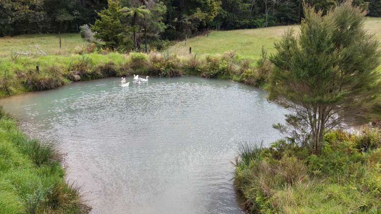 Lot 3/286 Mangakaretu Road Waipapa_10