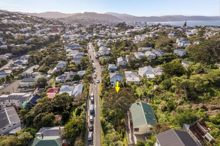 19 Mornington Road Brooklyn_8