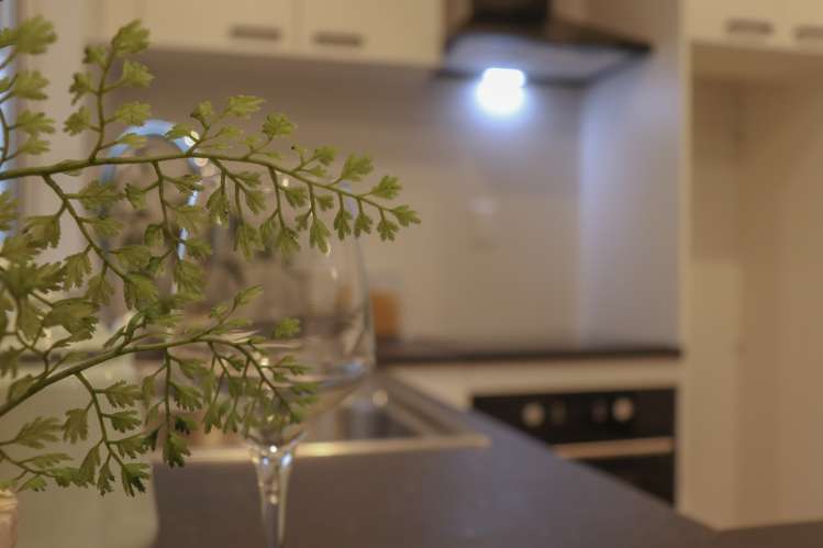 9a Guy Avenue Levin_11