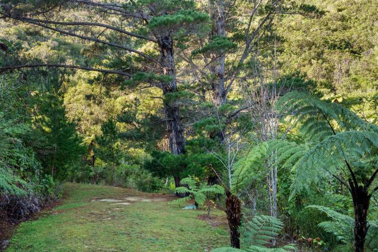 165 Boons Valley Road Picton_46