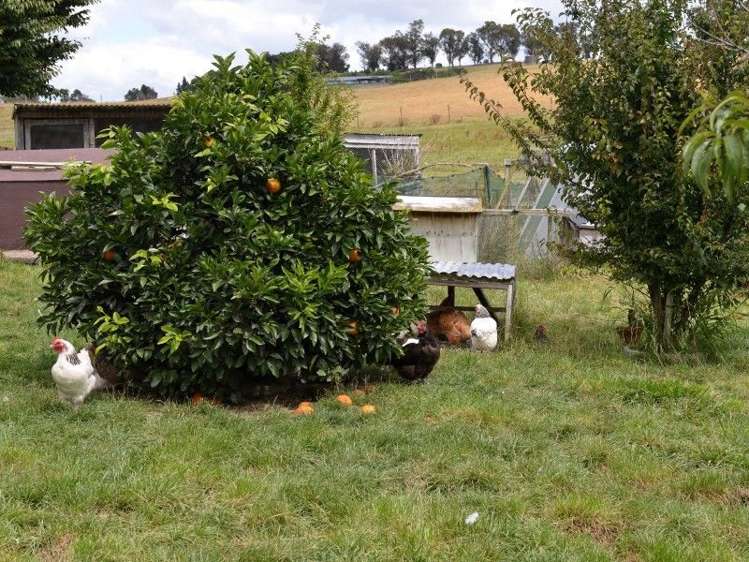 85 Mcbrydie Road Lower Moutere_19