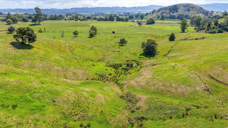 528 Monument Road Maramarua_32