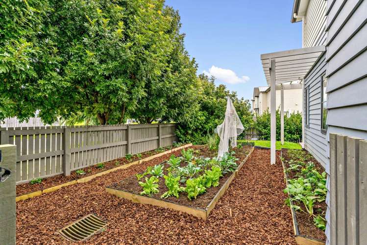 1 Saddleback Crescent Papakura_11