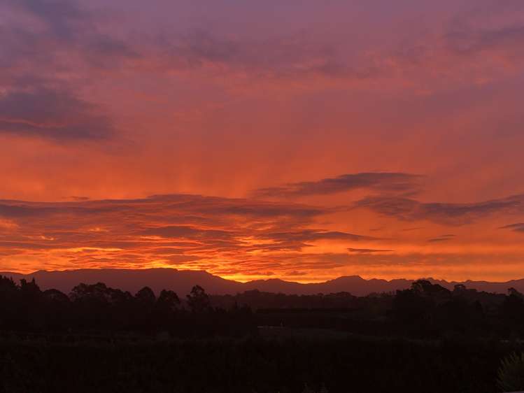 10 Ridge Drive Omokoroa_27