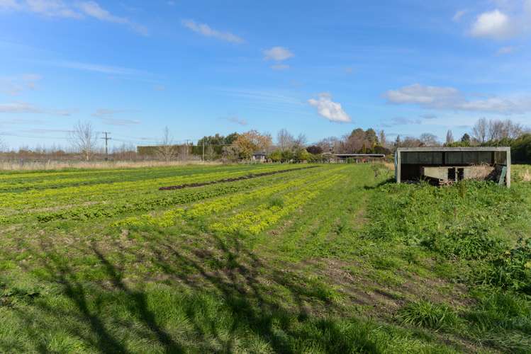 23 Johns Road Jervoistown_19