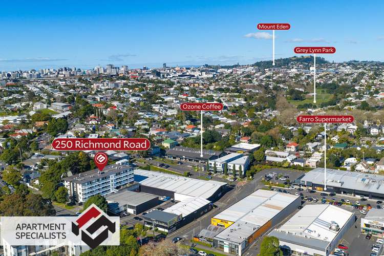 250 Richmond Road Grey Lynn_17