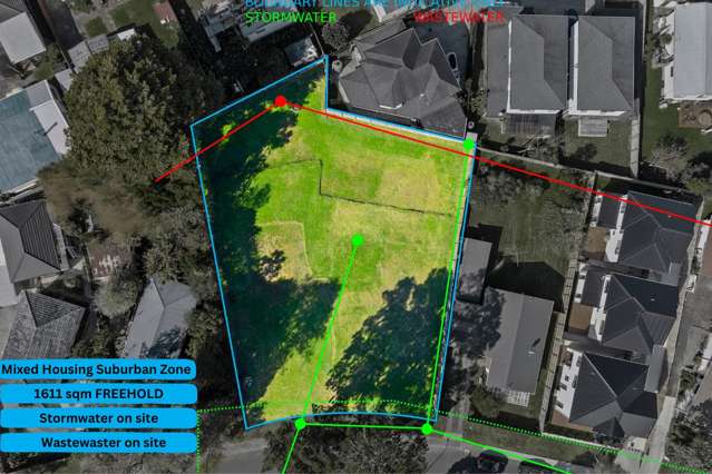 JUST PURE 1,611m2 of FREEHOLD Potential!