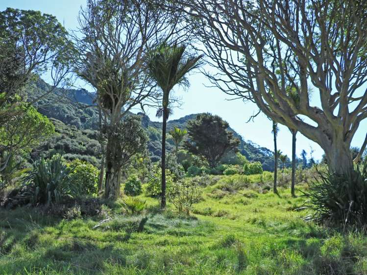 24 Boulder Bay Drive Tuateawa_16