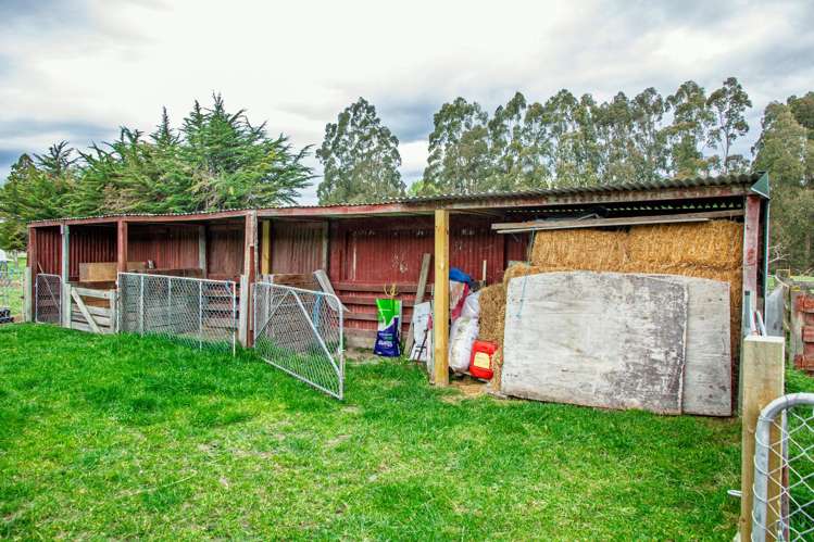 302 Beaconsfield Road Fairview_15