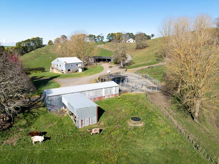 236 Taotaoroa Road Matamata_1