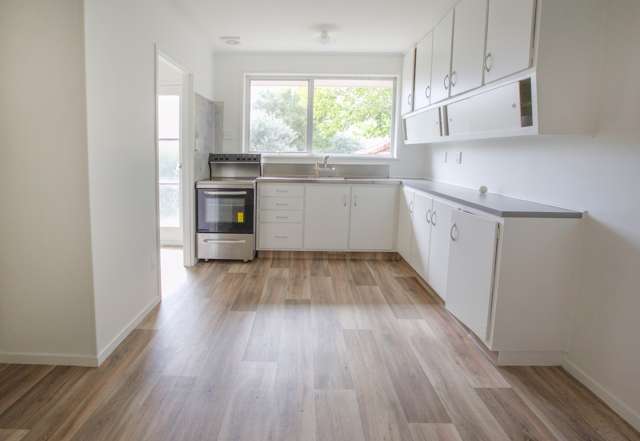 9/1 Pine Street New Lynn_1