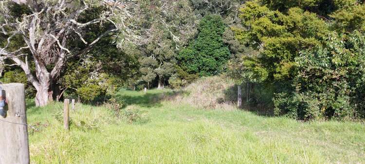 59 Griffin Road Maungaturoto_15