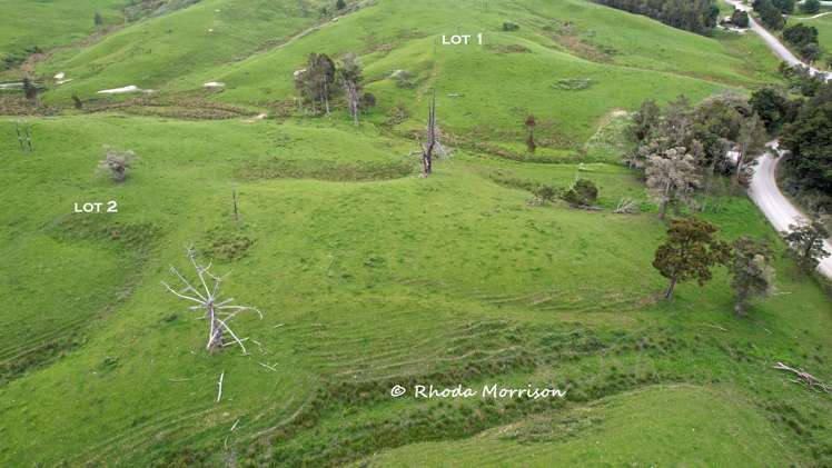 Golden Stairs Rd Maungaturoto_31