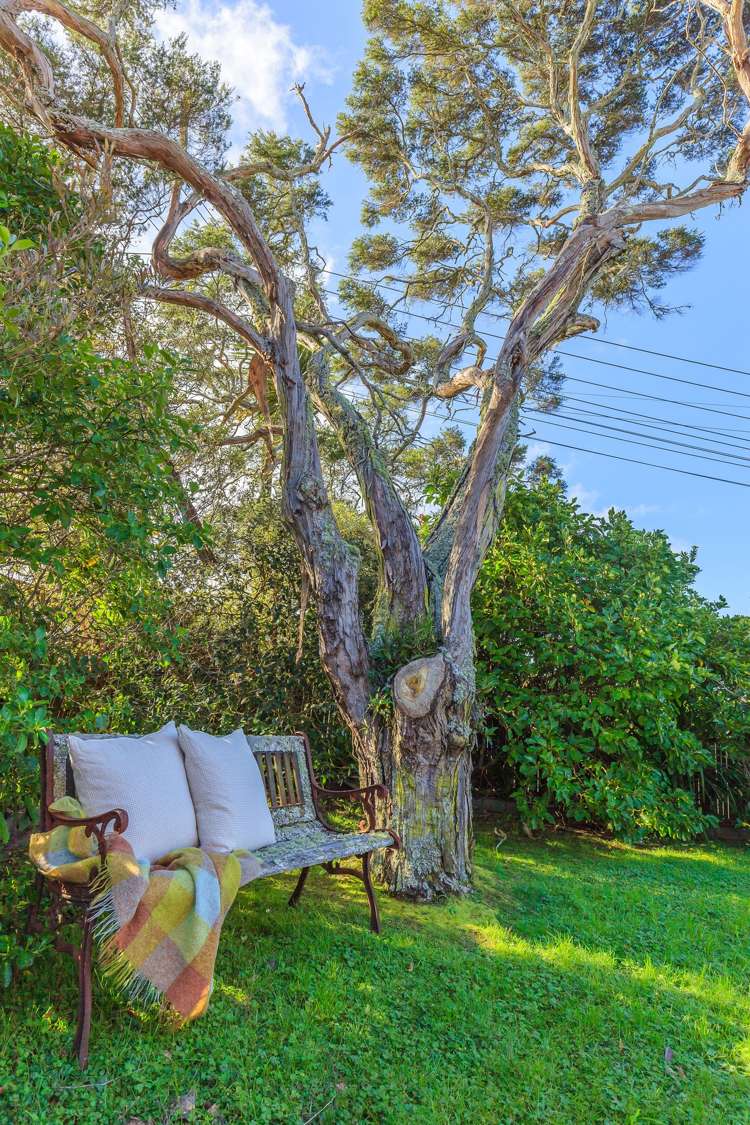 1/6 Dallinghoe Crescent Milford_5