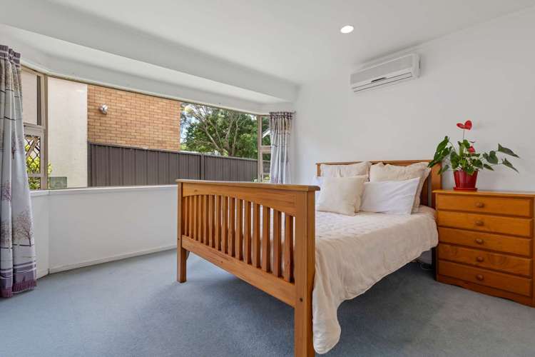 31 Richardson Road Mount Albert_10