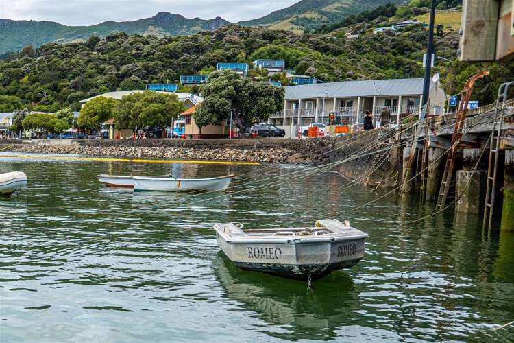 9 Rue Pompallier Akaroa_15