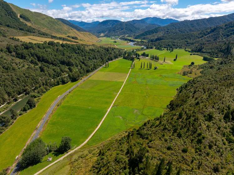 1153 Shenandoah Highway Murchison_16