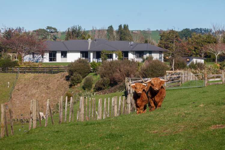 976 Old Te Aroha Road_4
