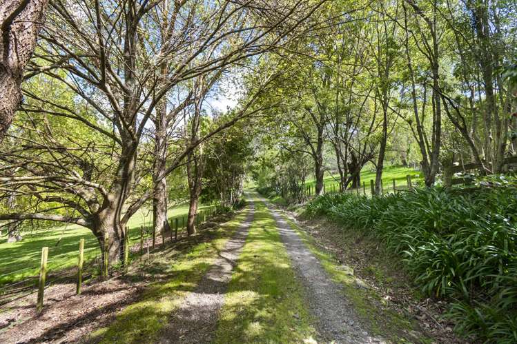 61 Turitea Road Fitzherbert_45