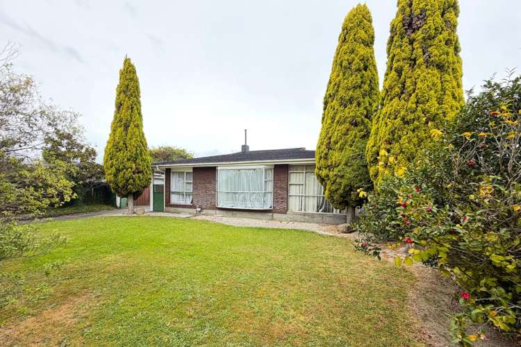 47 John F Kennedy Drive 10929_6