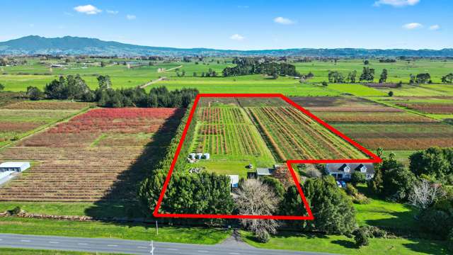 390 O'Regan Road Ngahinapouri_2