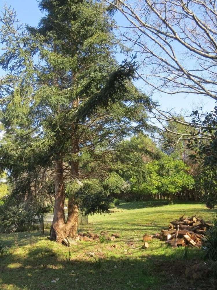 9 Churchill Street Pahiatua_19