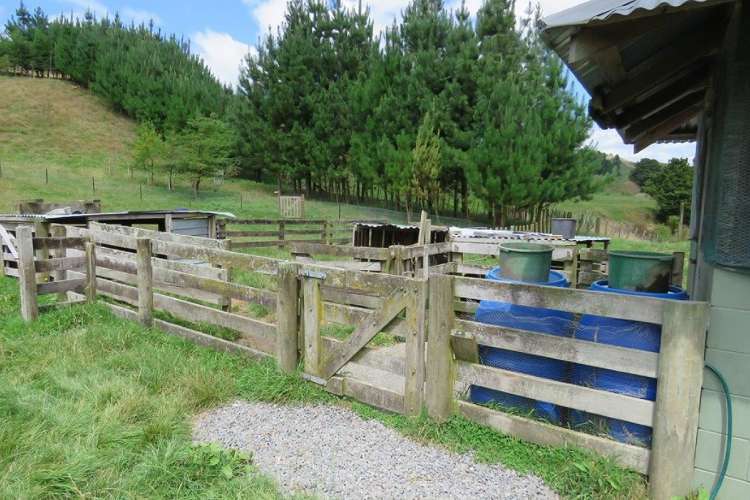 298 Tunakotekote Road Taumarunui_14