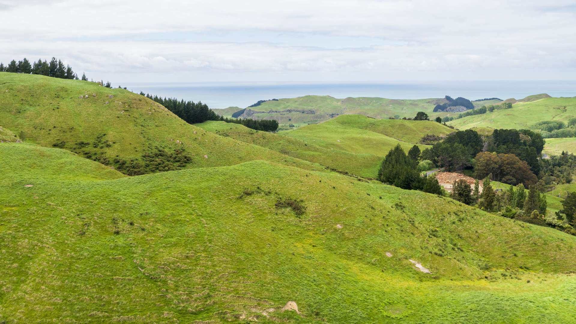 20ha,/664B Kairakau Road Elsthorpe_0