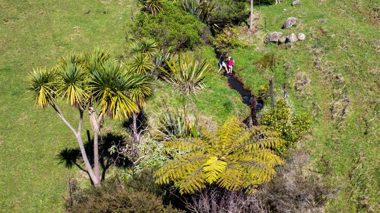 459 Wainui Road Raglan_9