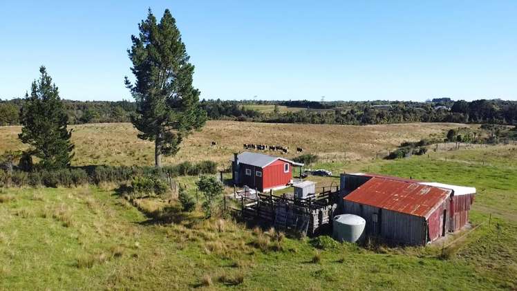 7868 Lower Buller Gorge Road_1