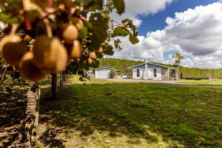 764b Te Matai Road Te Ranga_5