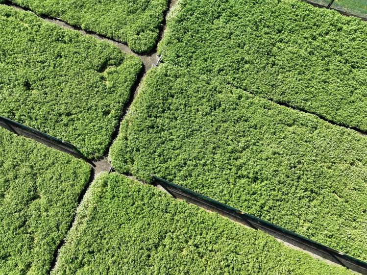 288 Lavenham Road Waituhi_1