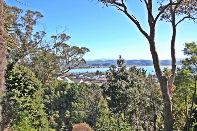 24a Roslyn Road Mount Wellington_2