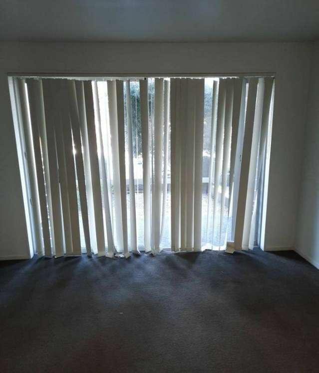 80a Michael Jones Drive Flat Bush_2