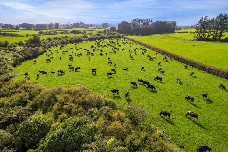 299 Cardiff Road Cardiff_8