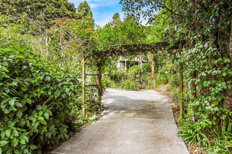 97 Cornwallis Road Cornwallis_25