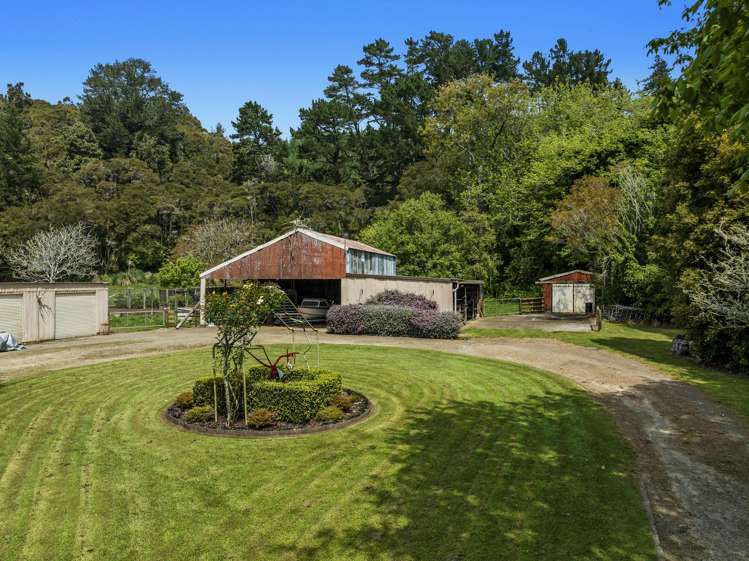 326B White Pine Bush Road Awakeri_18
