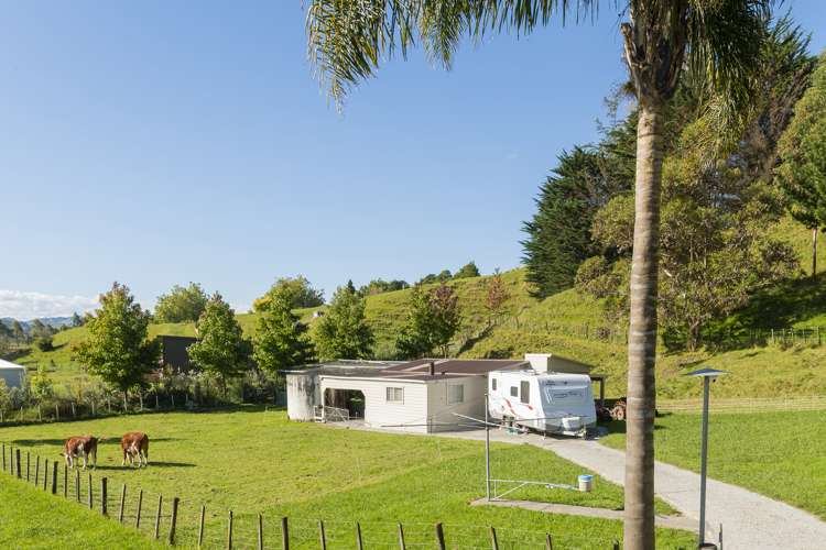 50 Domain Road Ormond_17