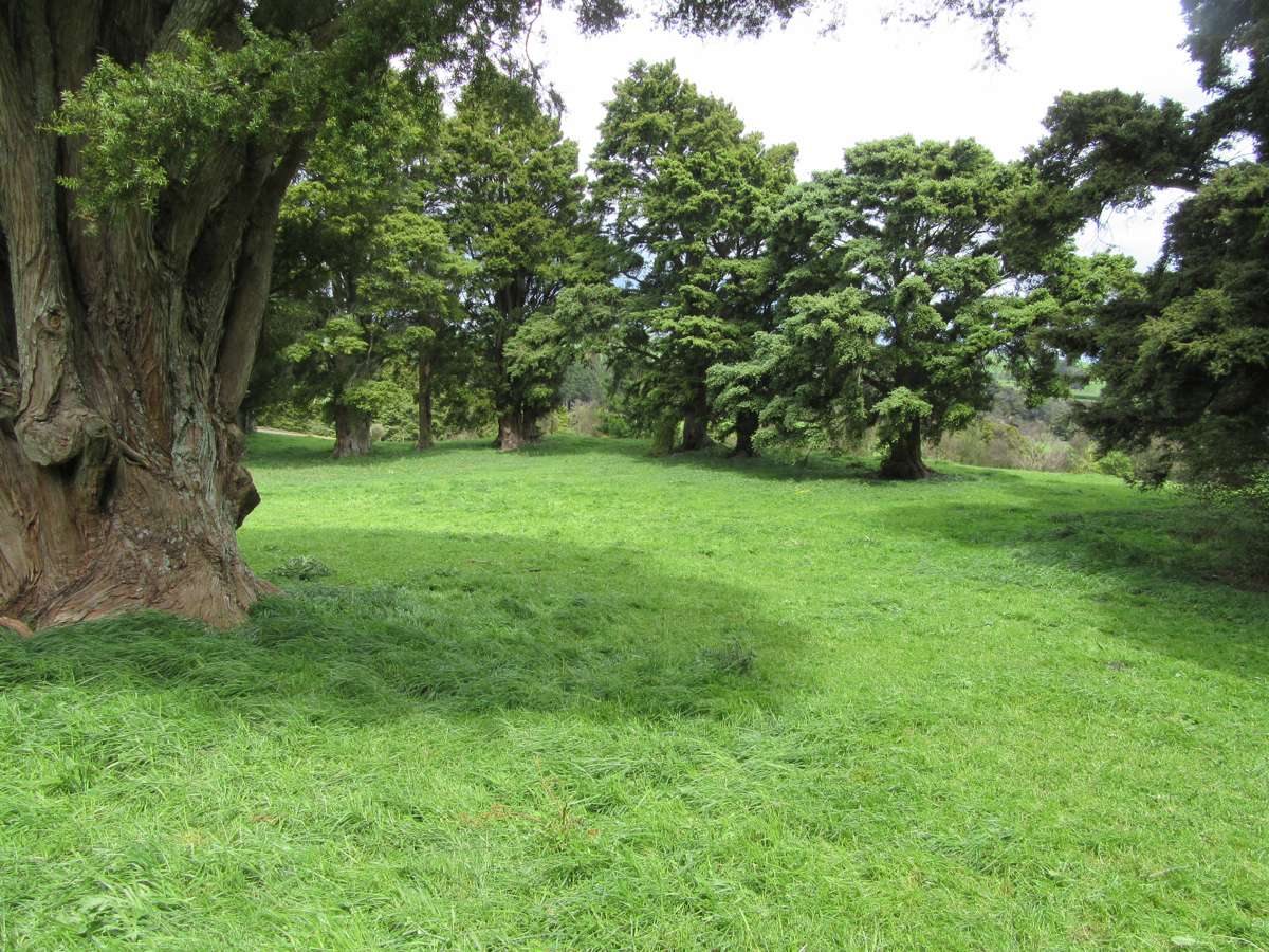 227 Whenuahou Road_1