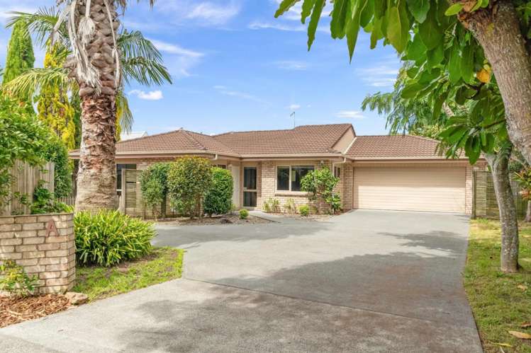 254A Kamo Road Whau Valley_1