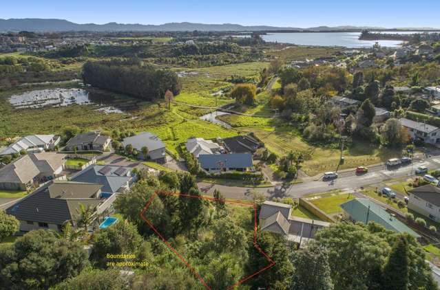46 Graham Place Bellevue_4