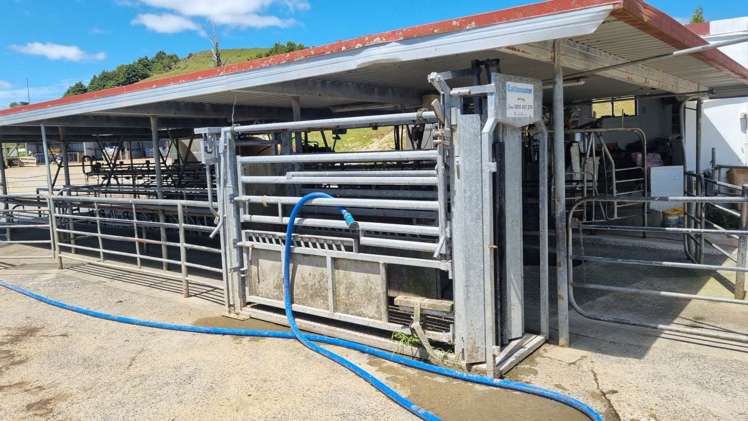 95 Masons Road Maromaku_11